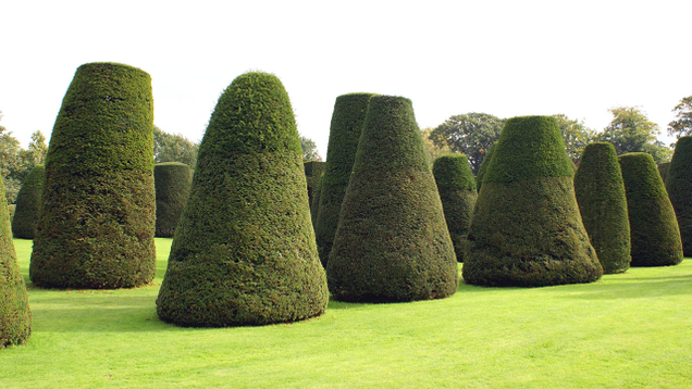 Illustration for article titled Sorry, Horny Boys, But These 7 Curvaceous Topiaries Are Pretty Much The Sexiest Thing We Can Get Through Your Middle School’s Content Filters